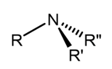 <p>Derivative of ammonia; central nitrogen atom bonded to one or more hydrogens/R groups</p>