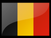 <p>Belgie (stát)</p>