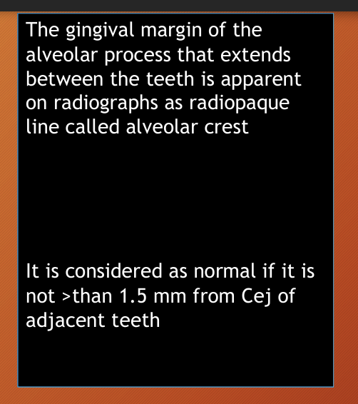<p>the alveolar crest </p>