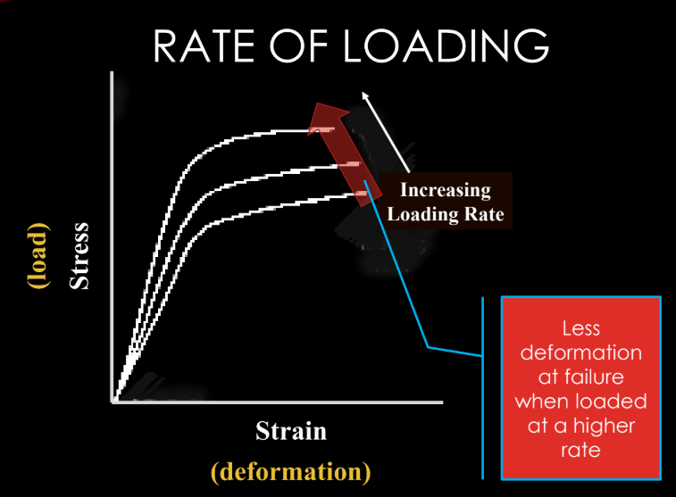 <p>bone experiences less deformation at failure when loaded at a (lower/higher) rate</p>