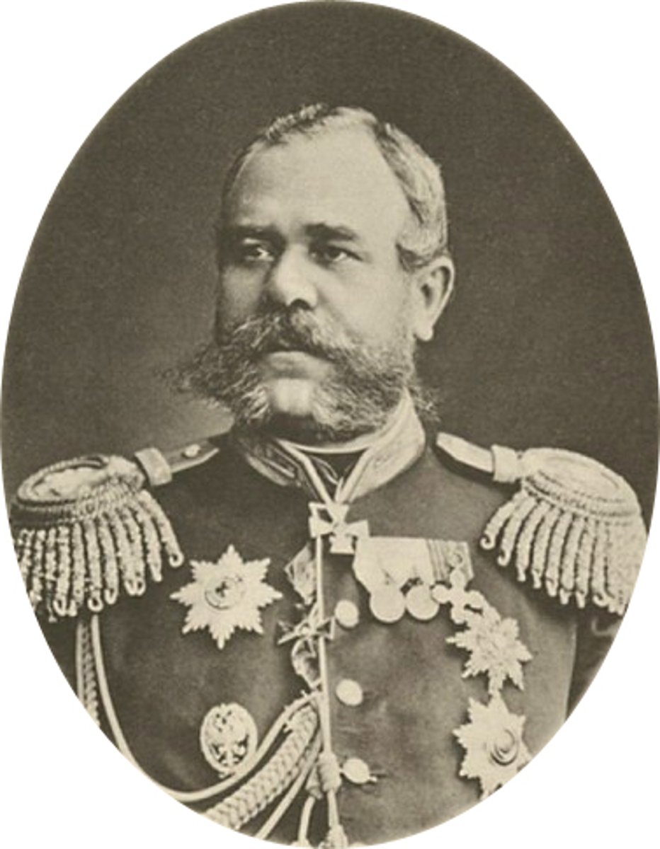 <p>1) Военный деятель;</p><p>2) Был автором стратегического плана войны с Турцией 1877-1878 гг. Кроме того, он сыграл большую роль в том, чтобы убедить Александра II в необходимости этой войны;</p><p>3) Был командирован на Кавказский театр войны. Там он подготовил план операции по разгрому аладжинской группировки неприятеля, который был реализован М. Т. Лорис-Меликовым в Авлияр-Аладжинском сражении. Это привело к падению крепости Карс, ключевой на Кавказском фронте.</p>