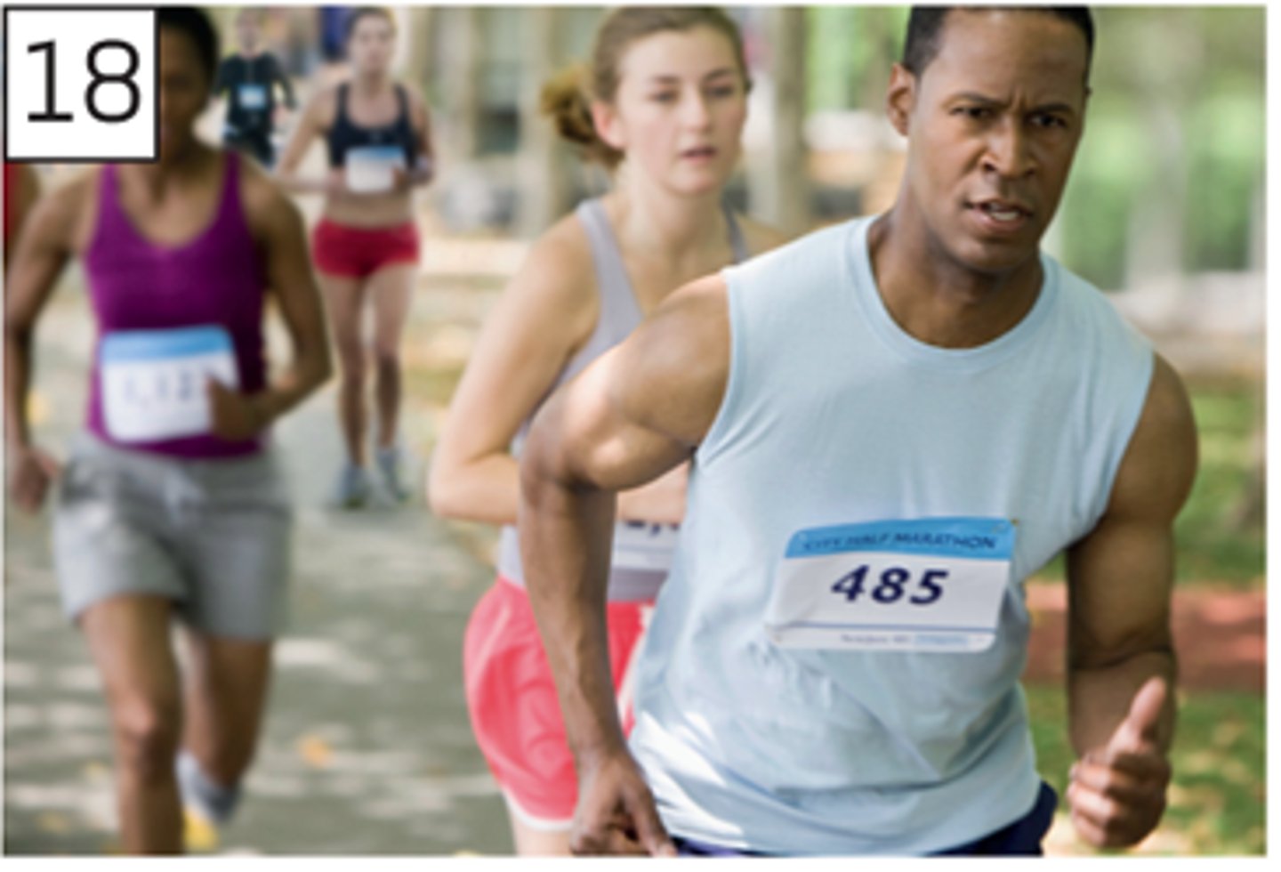 <p>to run a race</p>