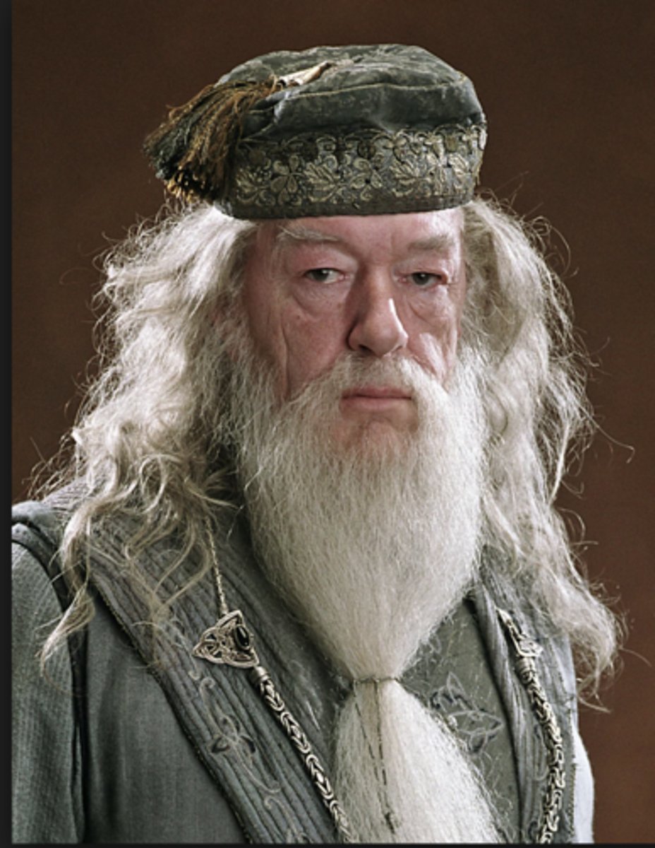 <p>Describes the new world and gifts the hero a talisman. They get the plot moving and often disappear afterwards.</p>