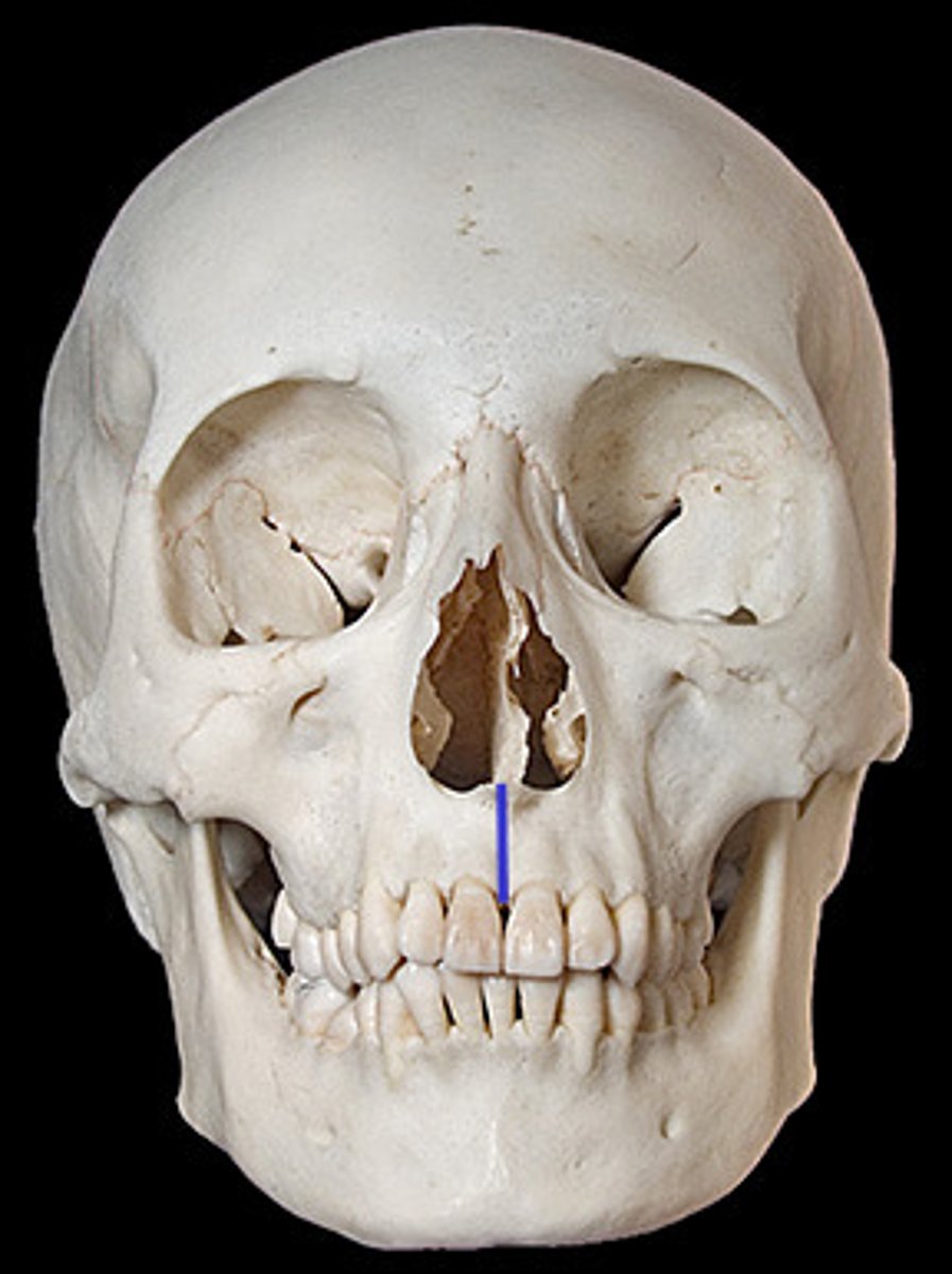 <p><em>identify the structure:</em></p>