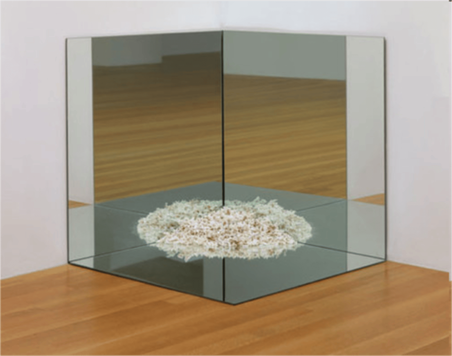 <p>Robert smithson, "sometimes art is just cool"</p>