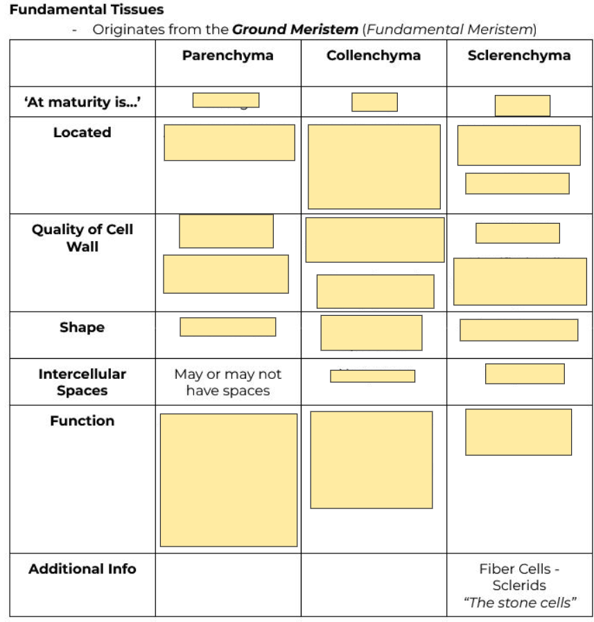 <p>May or may not have space</p>