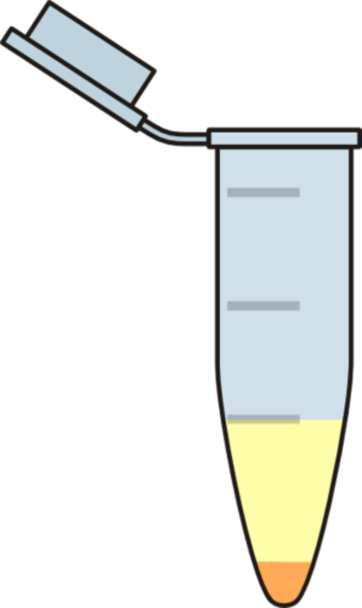 <p>The (usually) clear liquid left behind after a precipitate has been spun down to the bottom of a vessel by centrifugation</p>