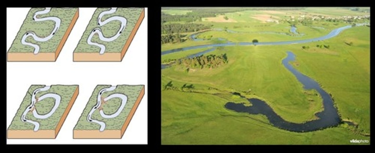 <p>bochten in de rivier</p>