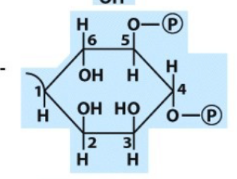 myo-inositol 4,5-biphosphate
