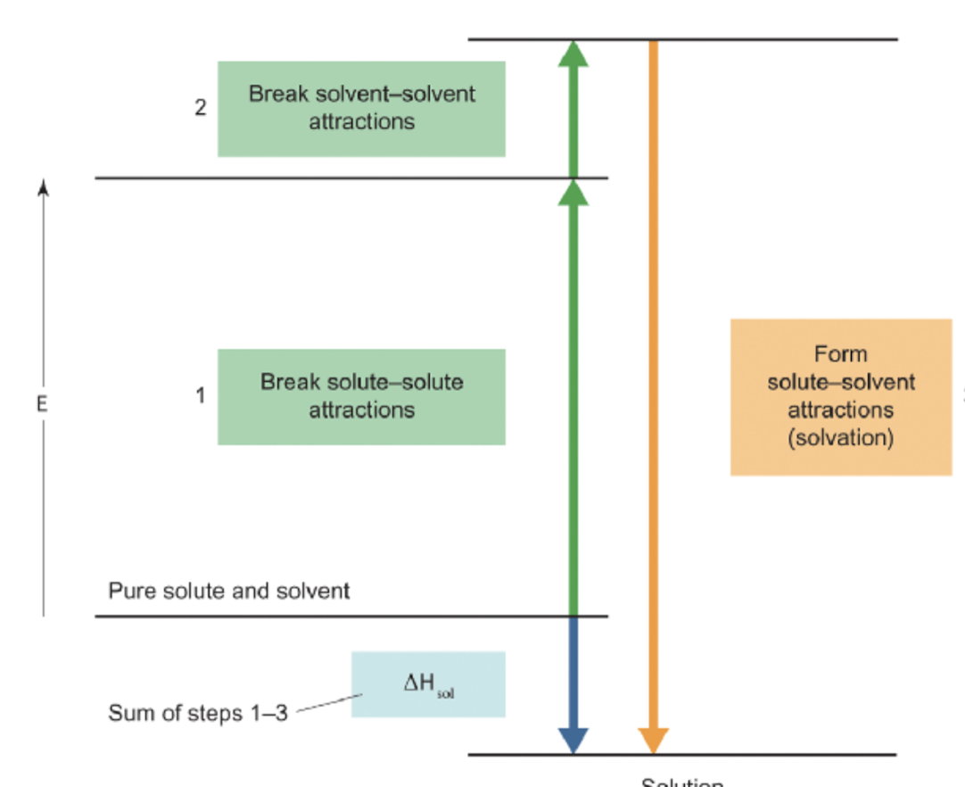 <ol><li><p>break solute-solute interactions (endothermic, <strong>△</strong>H<sub>1</sub> >0)</p></li><li><p>break solvent-solvent interaction (endothermic, <strong>△</strong>H<sub>2</sub> >0)</p></li><li><p>form solute-solvent interactions (exothermic, <strong>△</strong>H<sub>3</sub> <0)</p></li></ol><p>sum of all 3 steps = <strong>△</strong>H<sub>sol </sub>= enthalpy of solution</p>