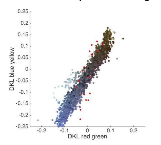 <ul><li><p>blue + brown dots are measured colours from the dress image</p></li><li><p>most of the variation is on the blue-yellow system</p></li><li><p>the red dots show peoples setting for neutral grey/white</p></li><li><p>SO - what people see as neutral varies between the colours in the dress image</p></li><li><p>SO - individual variations in the blue-yellow system could explain people’s perception of the dress</p></li></ul><p></p>