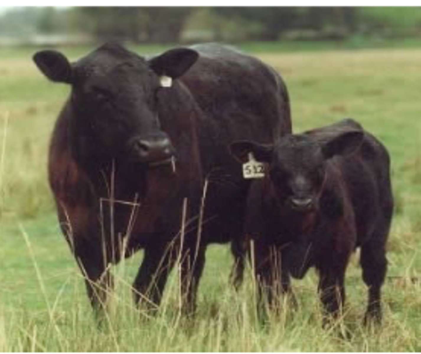 <p>What is this?</p>