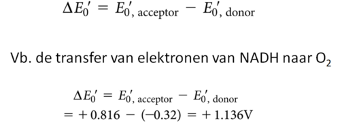 <p>je kan een deelreactie met een lagere affiniteit voor elektronen combineren met eentje met een hogere affiniteit voor elektronen</p><p>->spontaan elektronen overdragen</p><p>bv NADH gaat graag zijn elektronen afgeven aan O2</p>