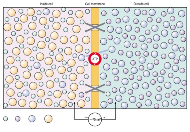 <p>What does each colour represent</p>