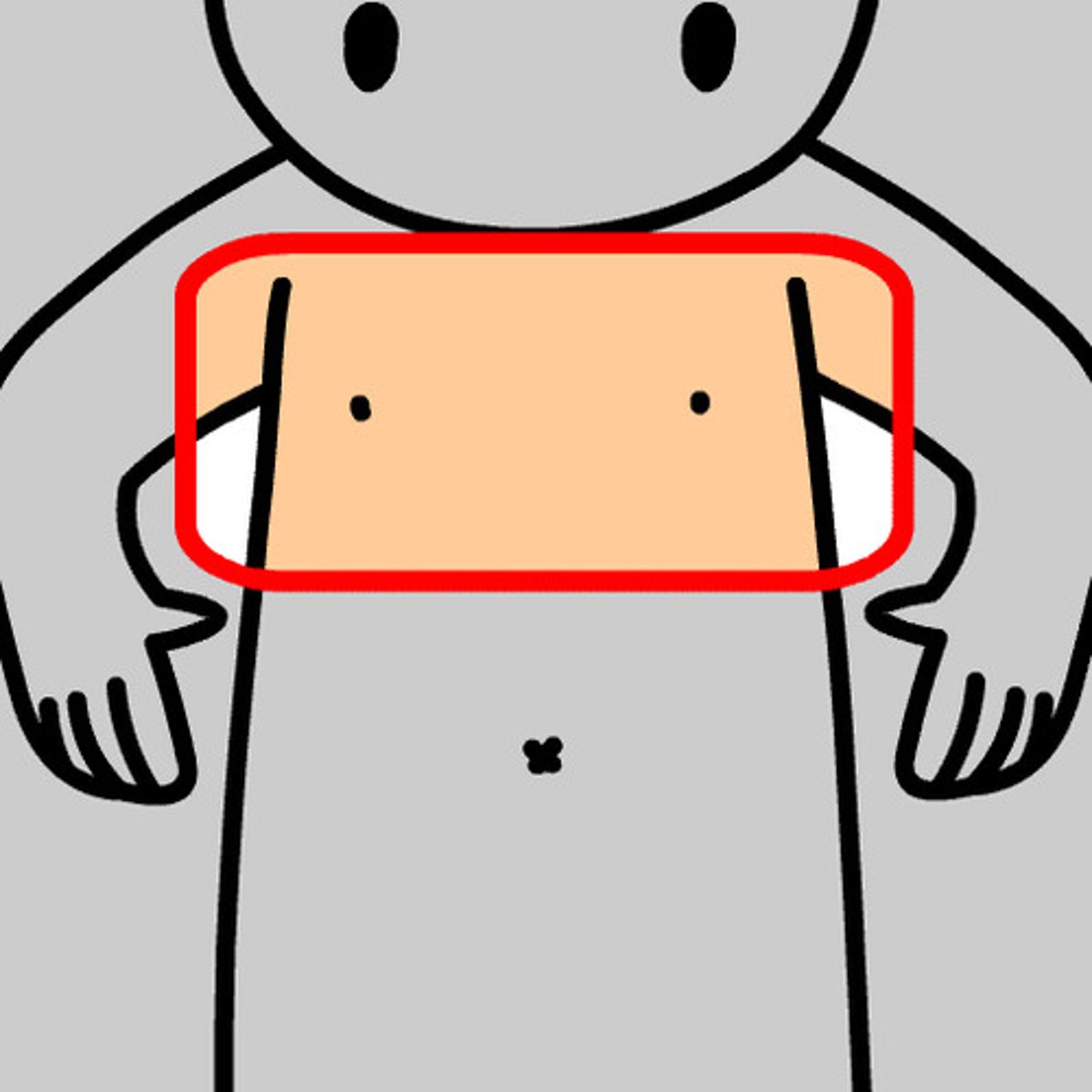 <p>Chest, noun</p>