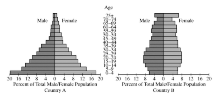 <p>Explain the demographic characteristics of each country above with respect to the demographic transition model.</p>