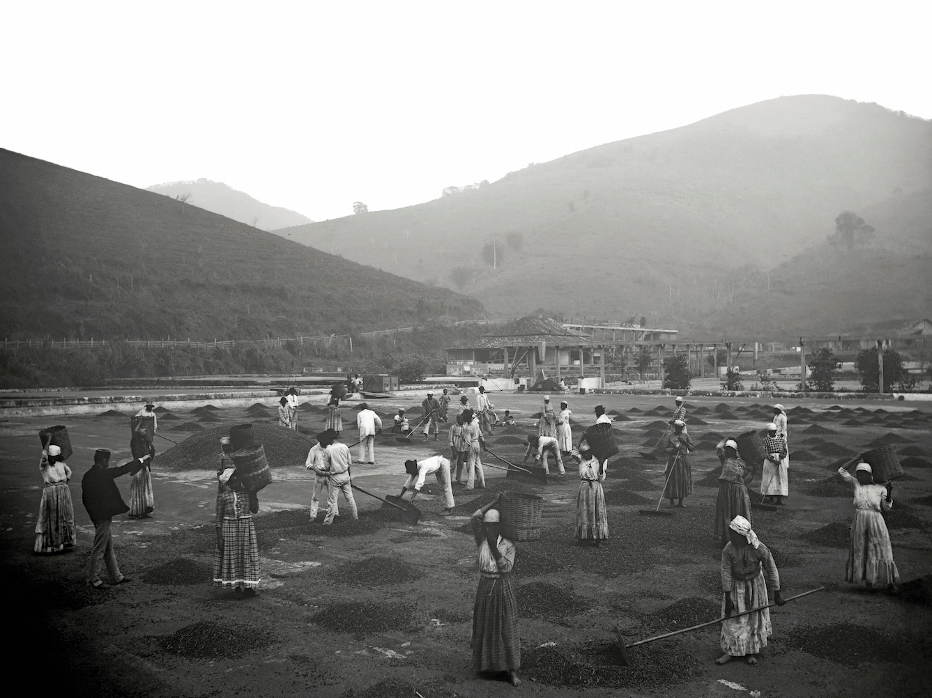 <p>Marc Ferrez’s 'Slaves at a Coffee Yard in a Farm'</p>