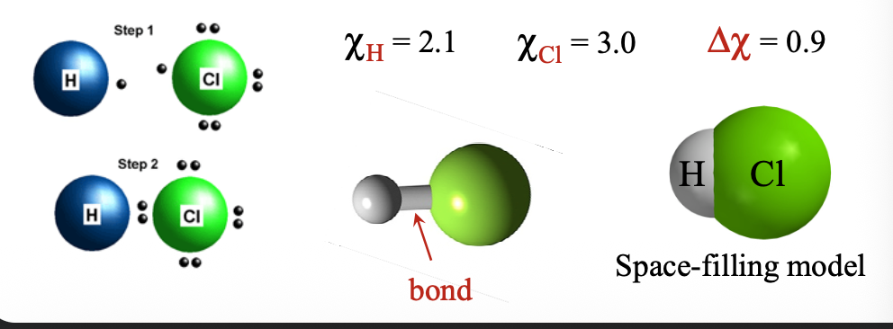 <p>Covalent bonds are LOCALIZED forced creating INDIVIDUAL molecules </p>