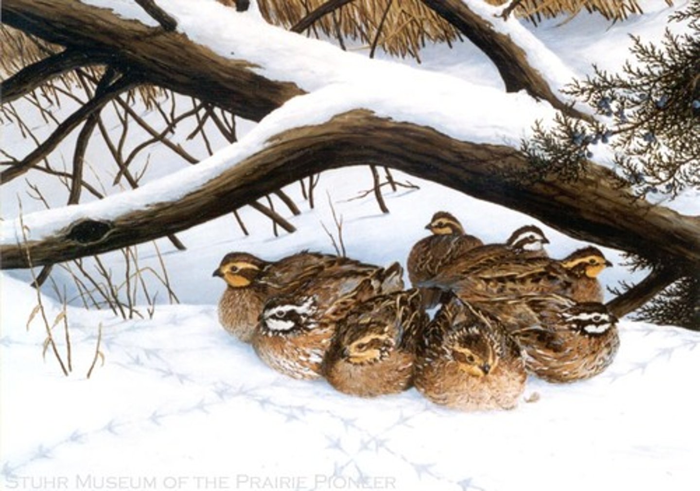 <p>Truyền tải, truyền đạt</p><p>For example, a teacher's expertise in conveying information and managing classrooms can be effectively applied in roles like corporate training or counseling.</p>