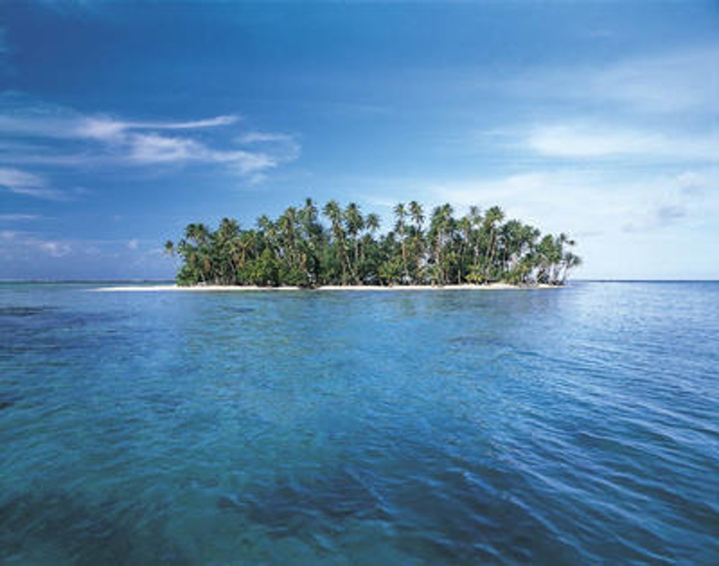 <p>island</p>