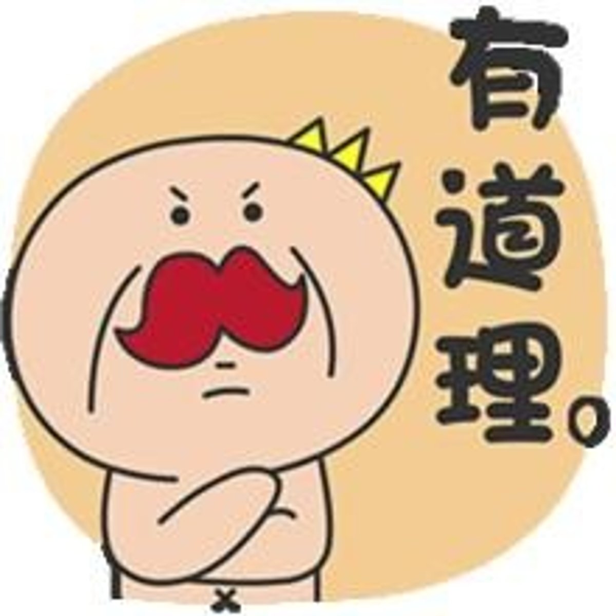 <p>dào lǐ - reason / argument / sense / principle / basis / justification</p>