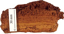 <p>Ferrihydrite, <span style="color: rgb(14, 232, 229);">FeOOH.4H<sub>2</sub>O</span></p>