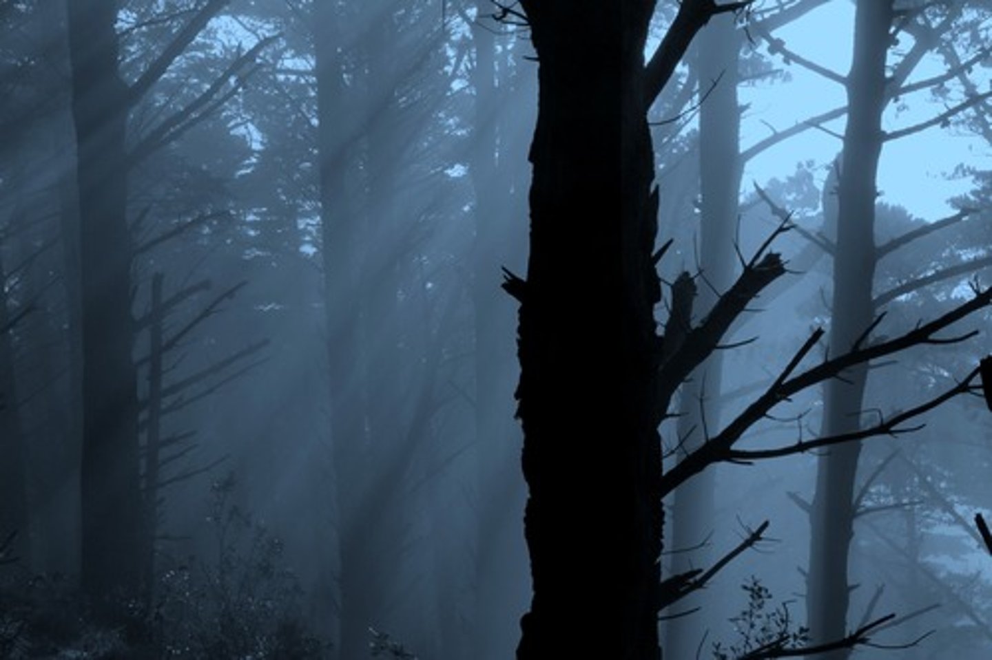 <p>weird; mysterious; strange and frightening</p>