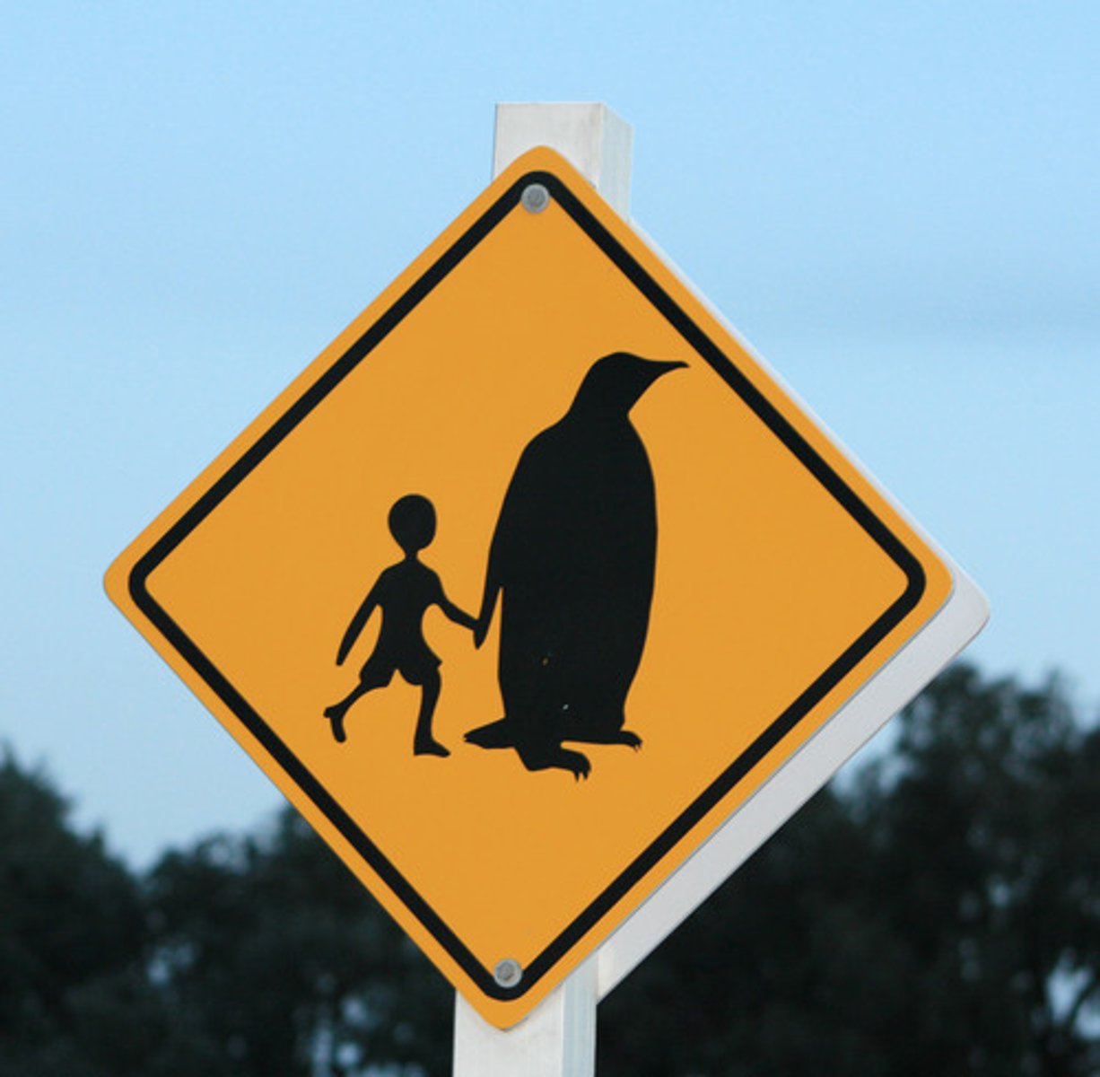 <p>Many of the yellow diamond warning signs. Especially slow down on wet road</p>