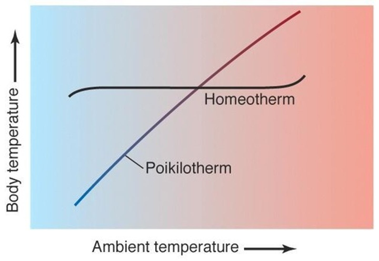 <p>Animals whose internal body temperature varies with the environmental temperature.</p>