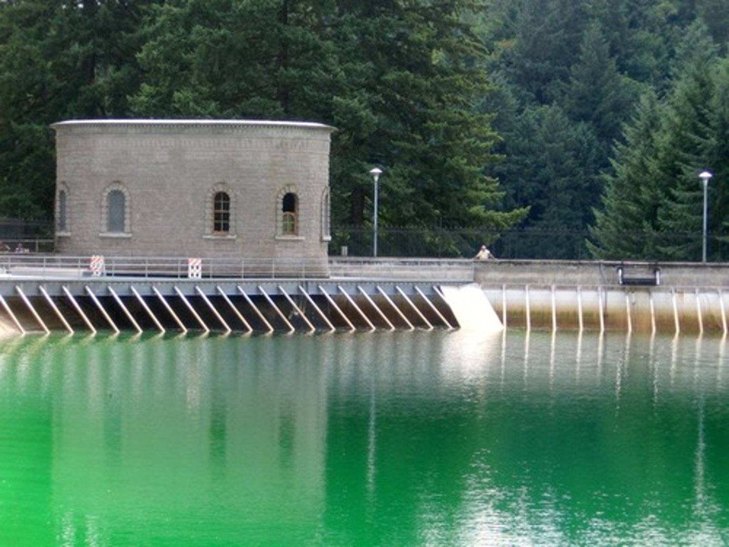 <p>Dams.</p>