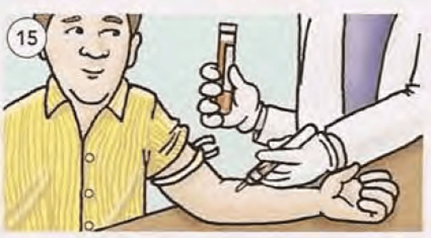 <p>анализ крови</p>