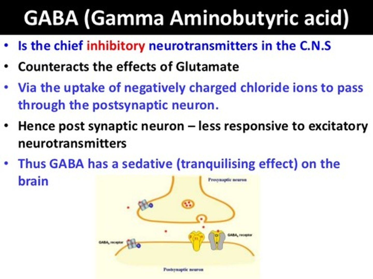 <p>The main inhibitory neurotransmitters, helping neurons slow down or stop firing.</p>