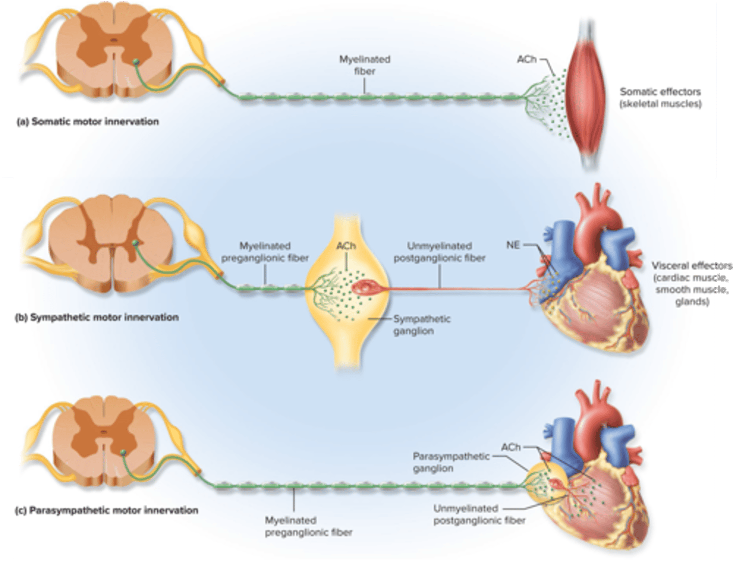 <p>What is this?</p>