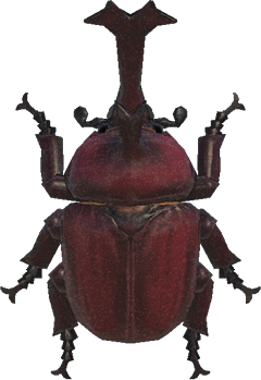 <p>Horned dynastid</p>
