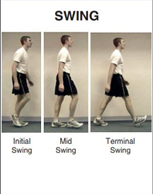 <p>Swing period</p>