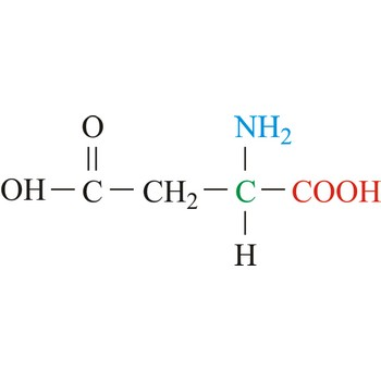 <p>What is the name of this amino acid, and, what are the single and three letter codes?</p>