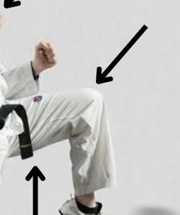 <p>the height you raise you ___ is to determine the hight of your kick</p>