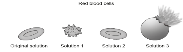 <p>The images show samples of red blood cells that were placed in different concentrations of salt solutions.</p><p>Which process explains the observations shown in the images?</p>