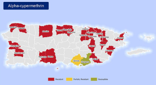 <ul><li><p><span style="background-color: transparent;"><span>In 2016, CDC investigators at the Dengue Branch in Puerto Rico carried out resistance tests and mapped resistance to several Active ingredents.</span></span></p></li><li><p><span style="background-color: transparent;"><span>Example of map for one Active ingredients.</span></span></p></li><li><p><span style="background-color: transparent;"><span>MosquitoNET has been set up by the CDC and will be used by Epidemiology and Laboratory Capacity program recipients to monitor mosquito collections and </span><u><span>insecticide resistance</span></u><span> in the United States</span></span></p></li></ul><p></p>