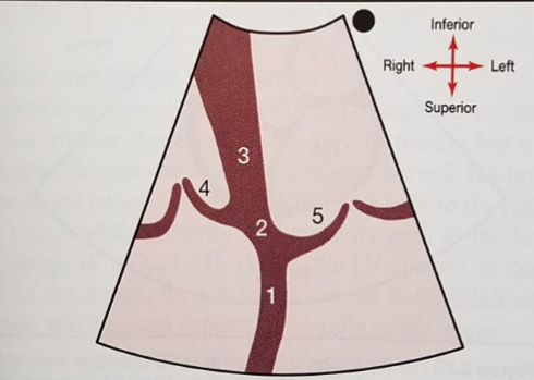 <p>What is number 4</p>