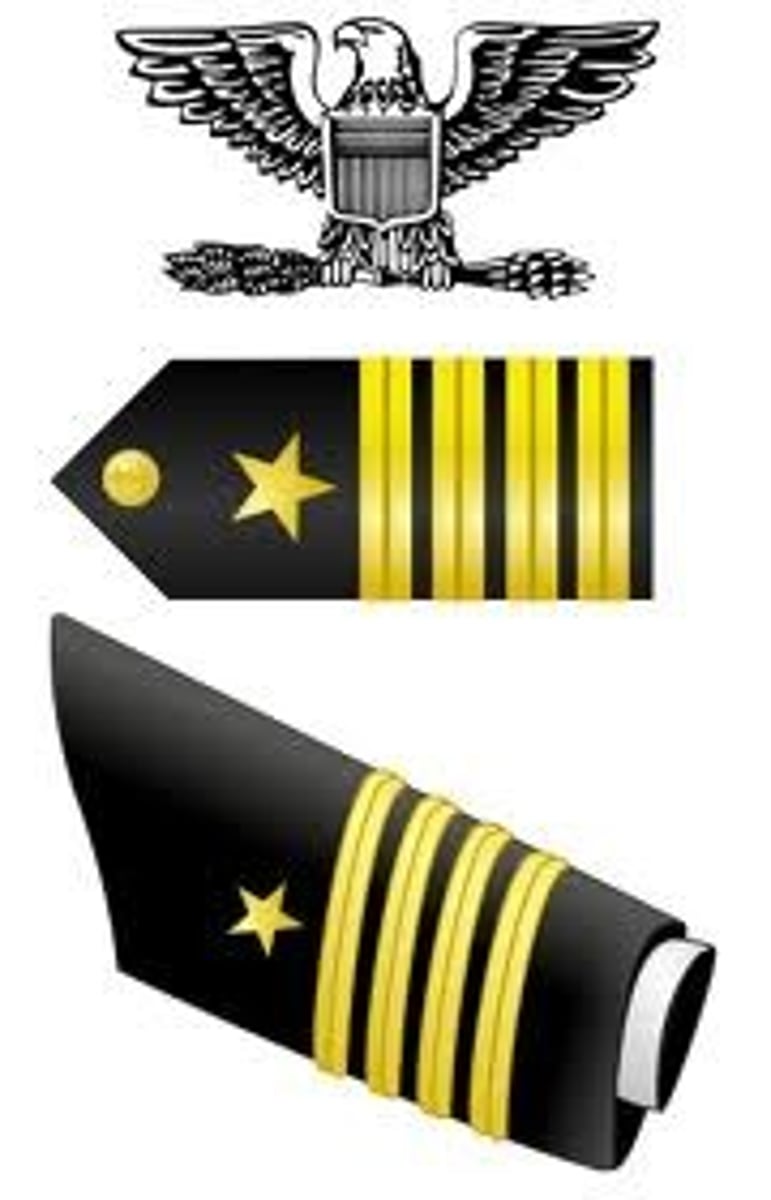<p>Captain</p>