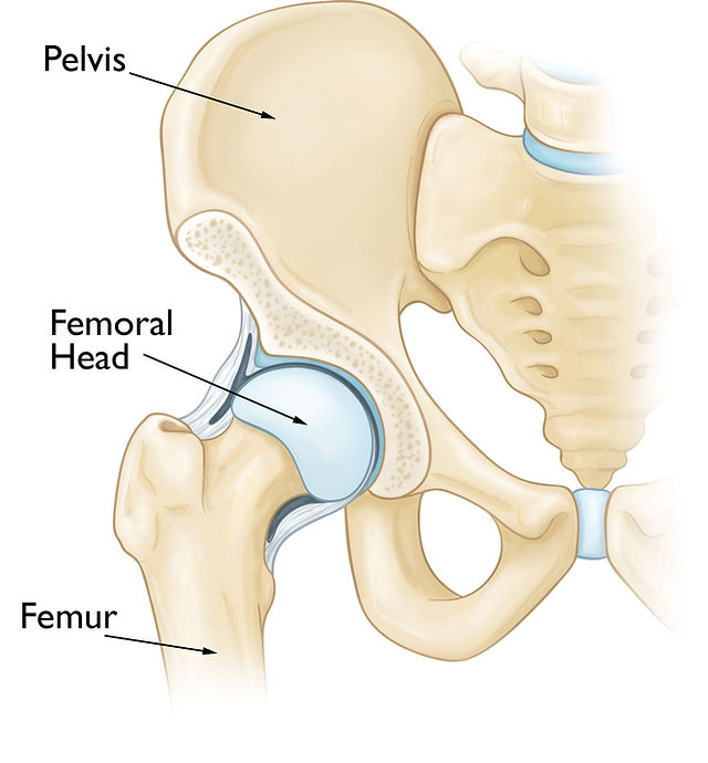 <p>what joint is this?</p>