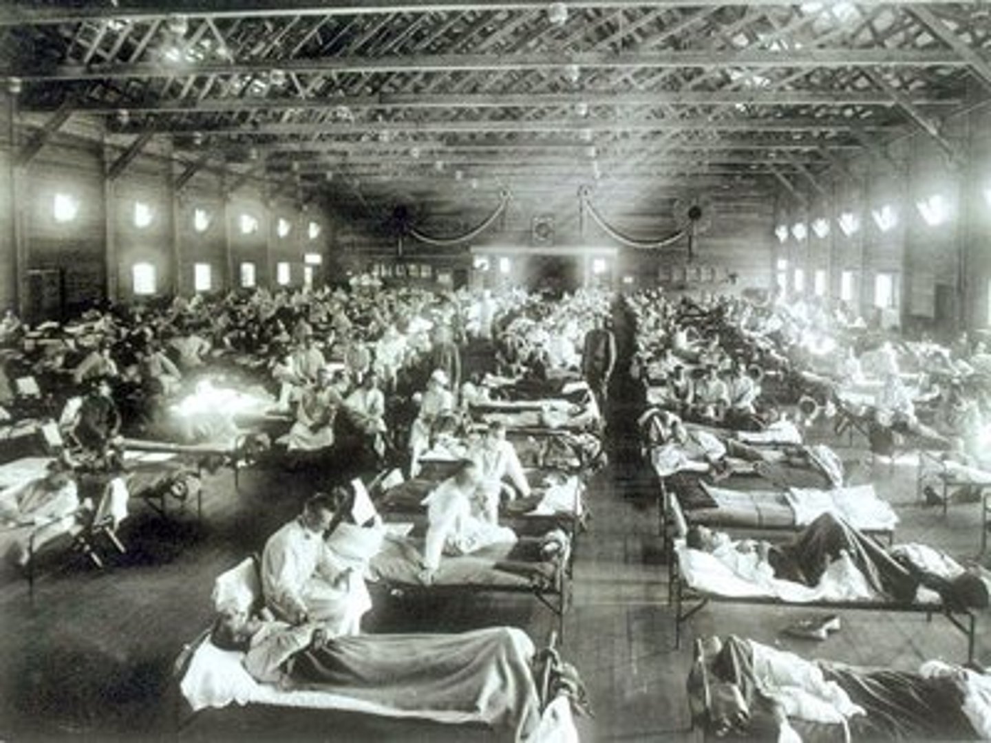 <p>largely overlooked because of WWI the Flu killed over 500,000 Americans and between 25 to 50 million died worldwide from 1918-1919</p>