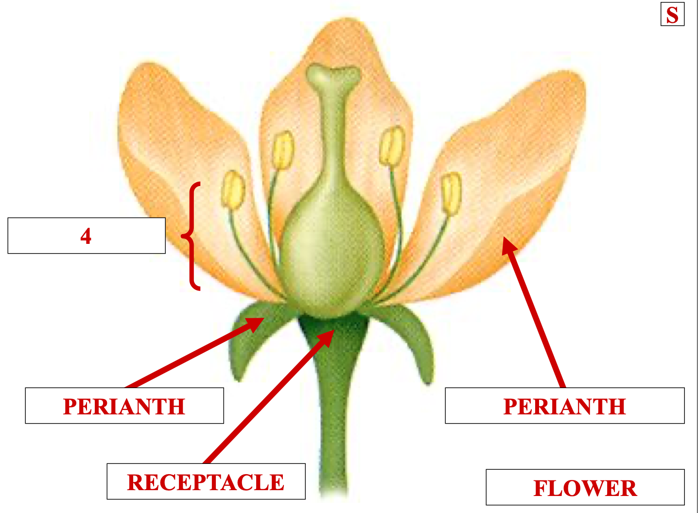 <p>name structure 4</p>