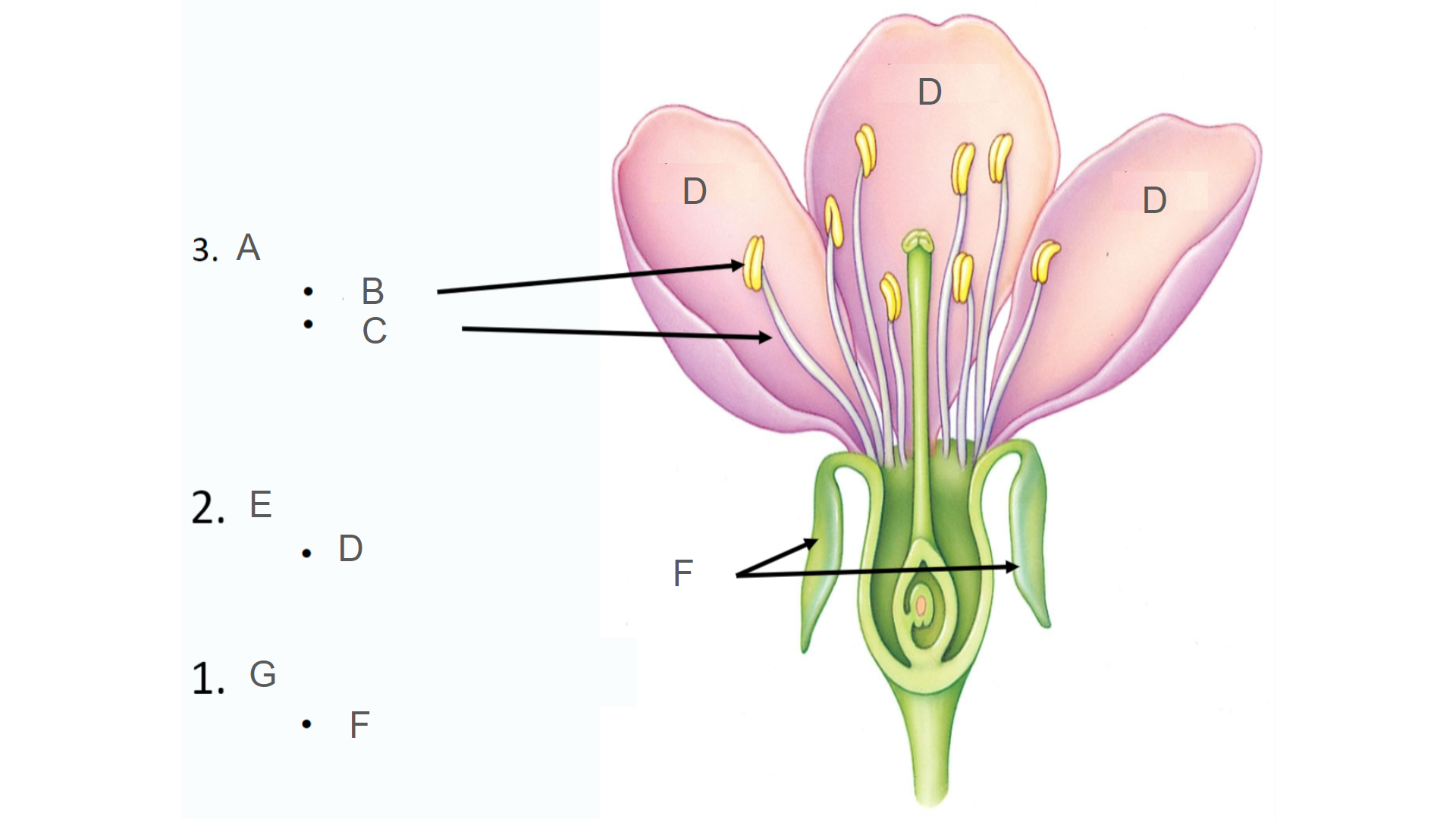 <p>What is E?</p>