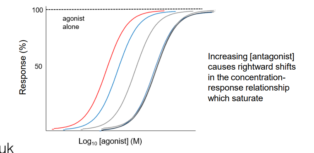 Allosteric modulator - Binds and changes the binding of agonist to its site.