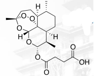 <p>ARTEMISININ ANTIMALARIALS</p>