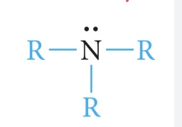<p>3 carbon</p>