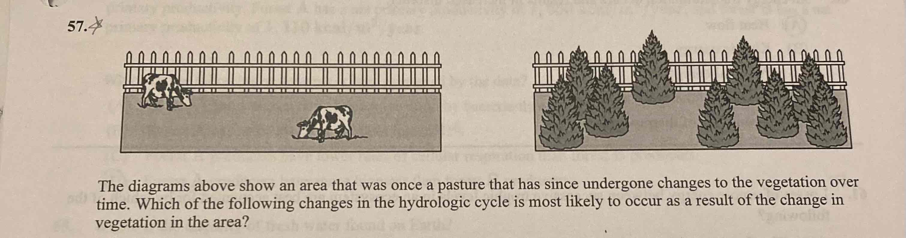 <p>The diagrams above show an area that was once a pasture that has since undergone changes to the vegetation overtime. Which of the following changes in the hydrologic cycle is most likely to occur as a result of the change in the vegetation in the area?</p>