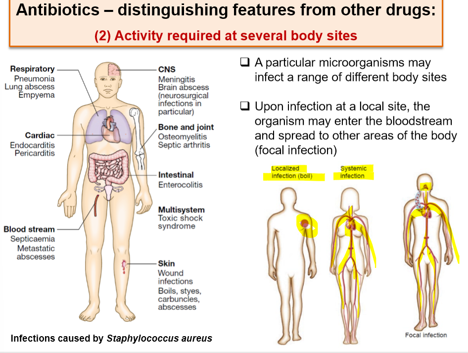 <ul><li><p>one microorganism may infect a range of different body sites - why? travel in blood</p></li><li><p>this is known as a focal infection- enters one part, then spreads by bloodstream</p></li></ul><p></p>